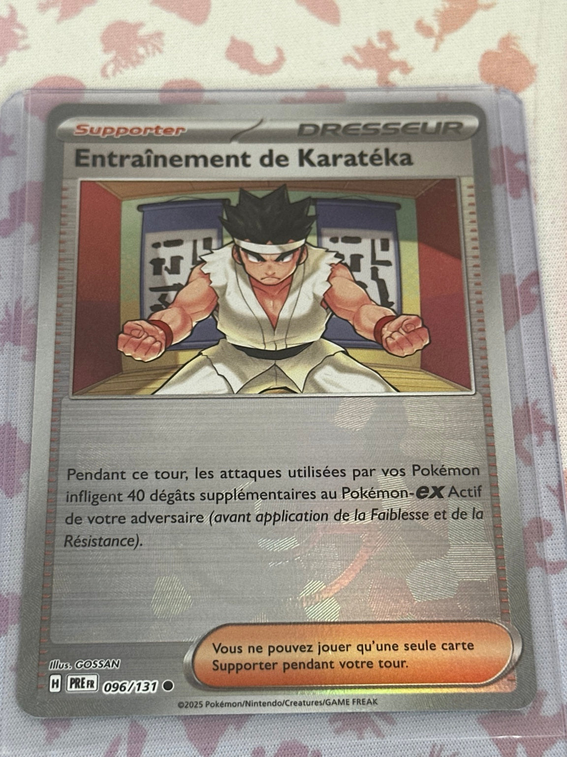 Entraînement de Karatéka 096/131
