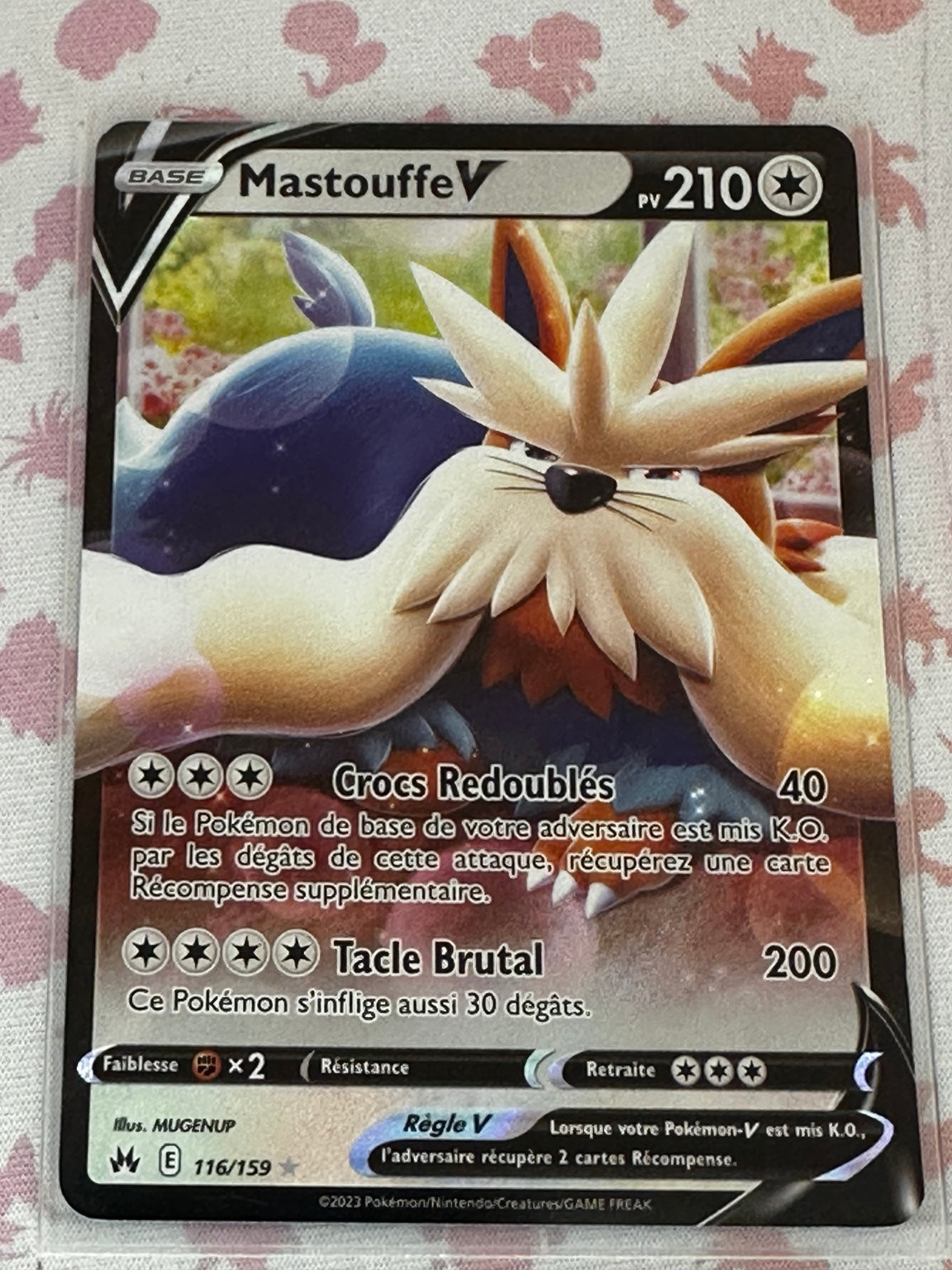 Carte Pokémon V 116/159