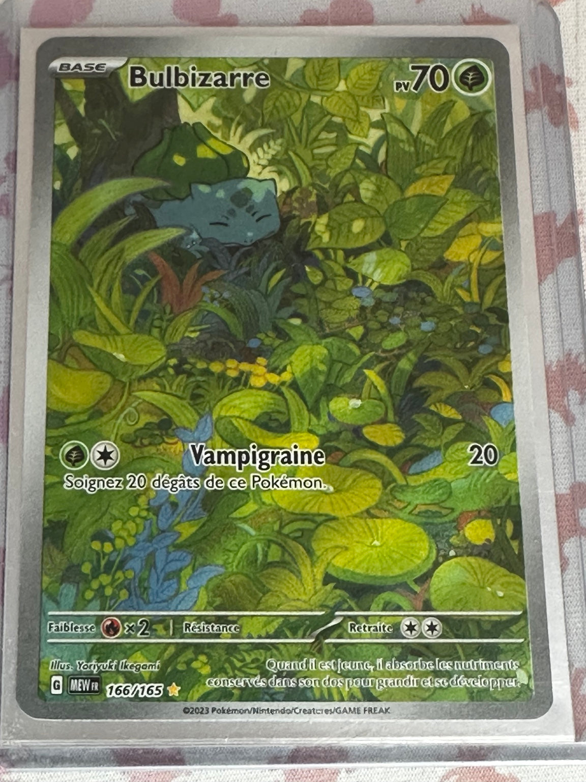 Bulbizarre 166/165 Illustration Rare