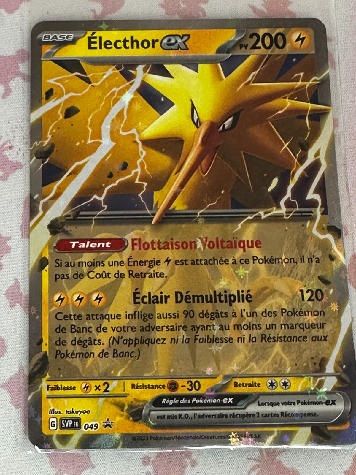 Electhor ex 049/165 recto