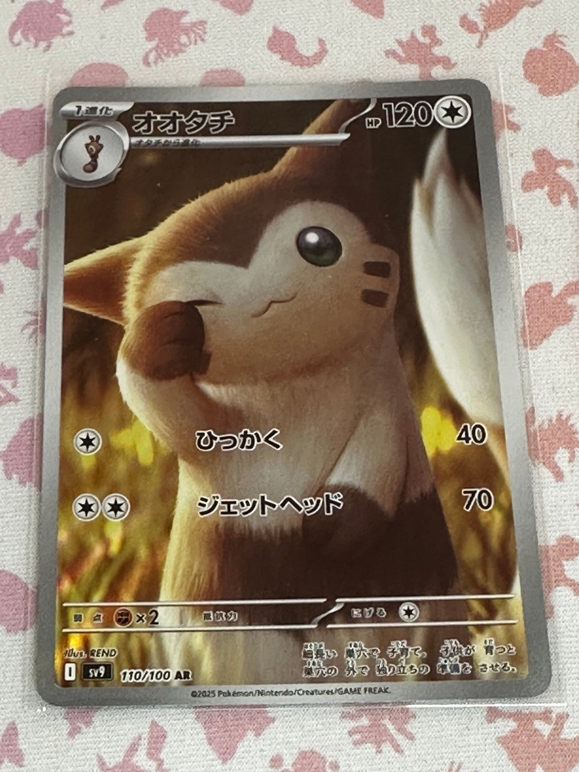 Fouinar 110/100 AR japonais recto