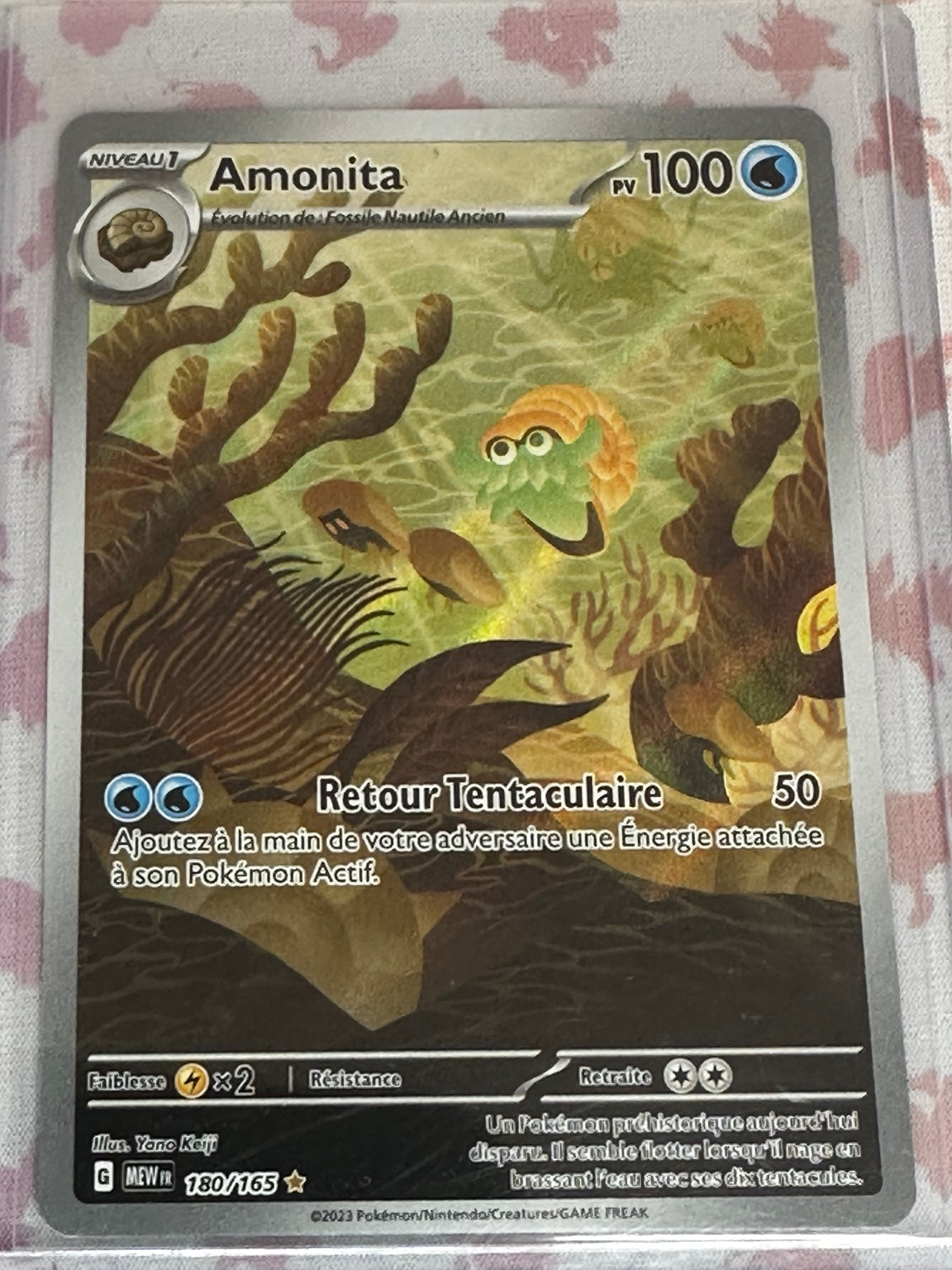 Amonita 180/165 Illustration Rare