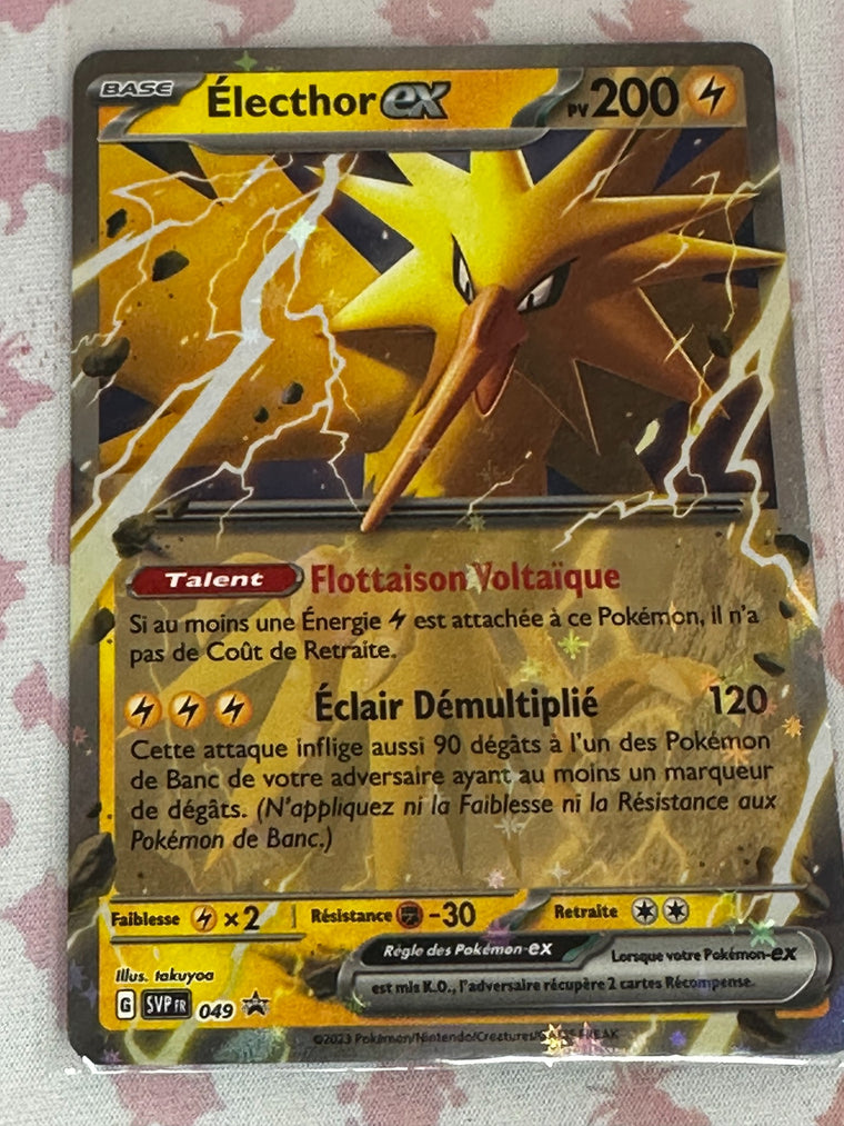 Electhor ex 049/165 recto