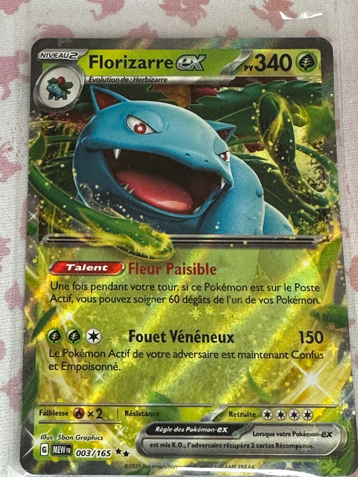 Florizarre ex 003/165 recto